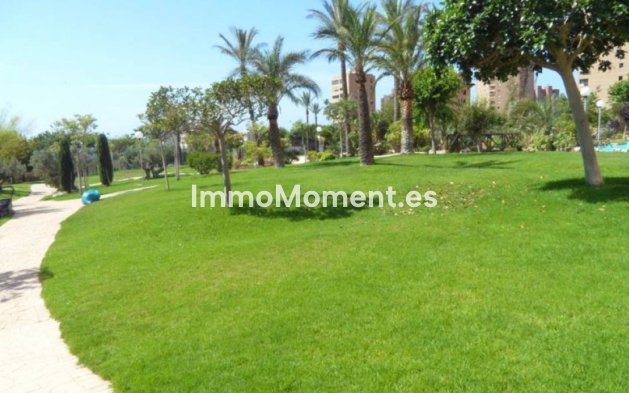Revente - Appartement - Benidorm - Benidorm Centro