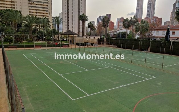 Wiederverkauf - Wohnung - Benidorm - Benidorm Centro