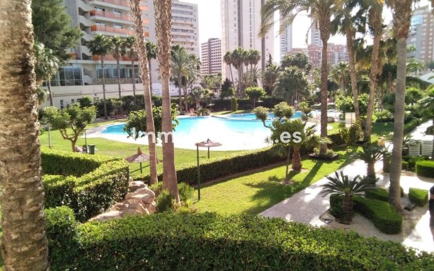 Wiederverkauf - Wohnung - Benidorm - Benidorm Centro