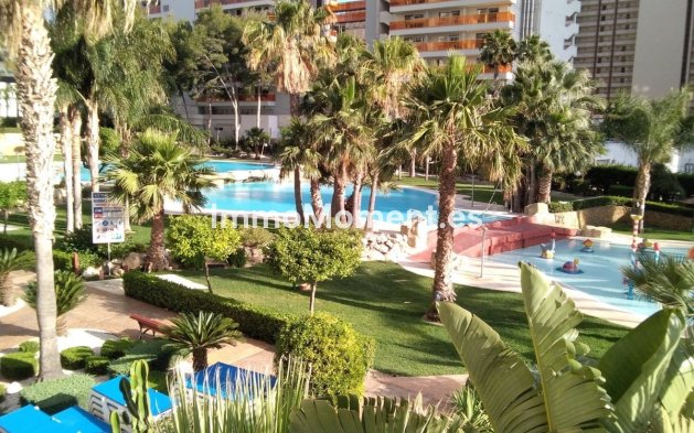 Wiederverkauf - Wohnung - Benidorm - Benidorm Centro
