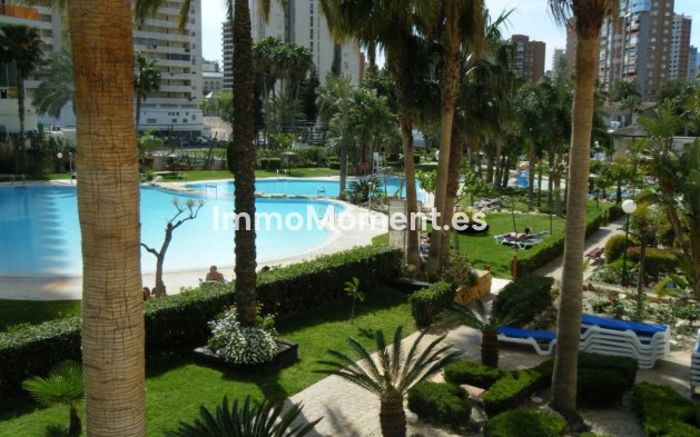 Wiederverkauf - Wohnung - Benidorm - Benidorm Centro