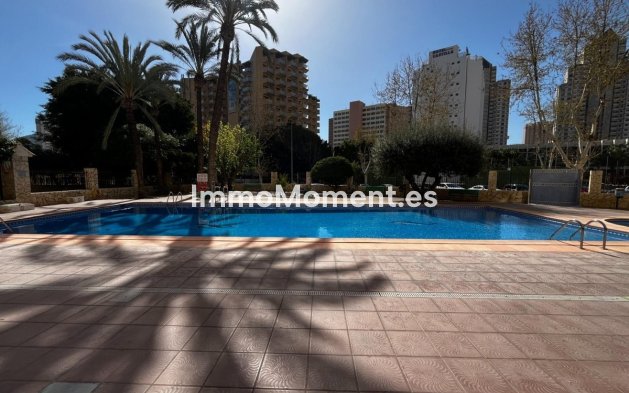 Revente - Appartement - Benidorm - Benidorm Centro