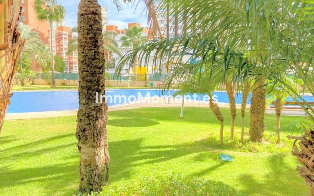 Resale - Apartment - Benidorm - Benidorm Centro