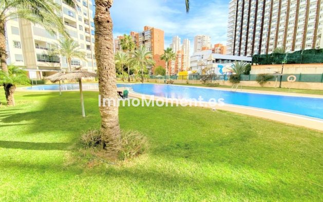 Resale - Apartment - Benidorm - Benidorm Centro