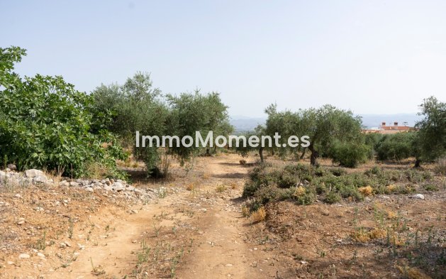 Wiederverkauf - Land -   Inländisch - Alhaurín de la Torre