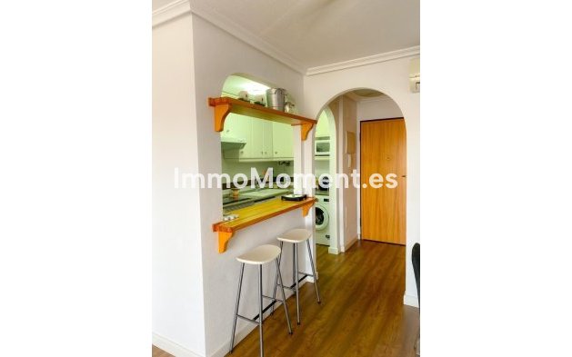 Revente - Appartement - Orihuela - Mil Palmeras