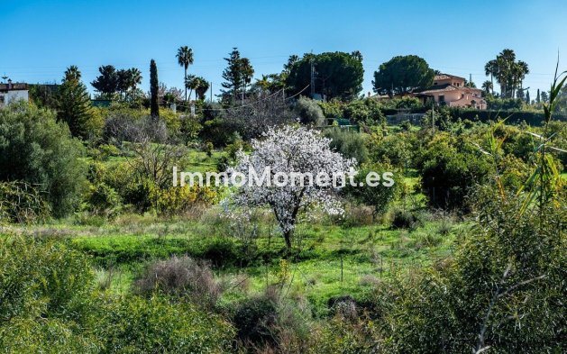 Wiederverkauf - Land - Estepona  - New Golden Mile