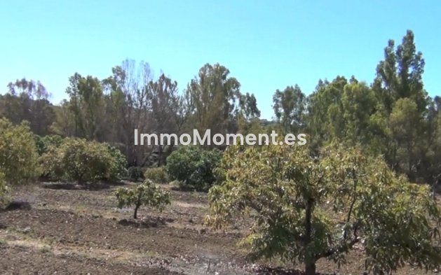 Bestaande woning - Landhuis - Mijas - Entrerrios