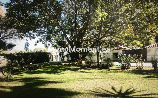 Revente - Villa individuelle - Marbella - Guadalmina Baja