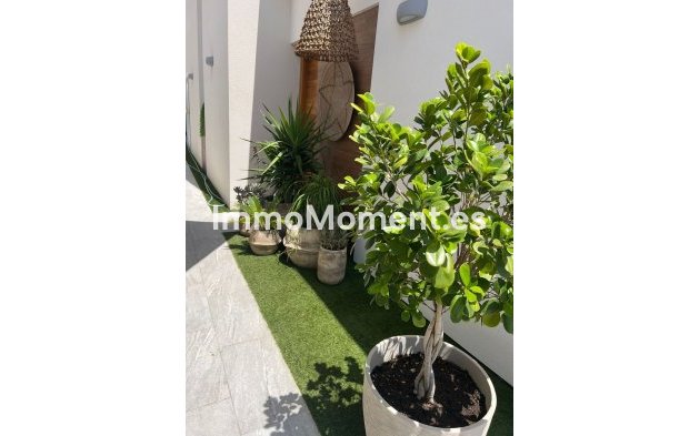 Bestaande woning - Villa - Daya Vieja