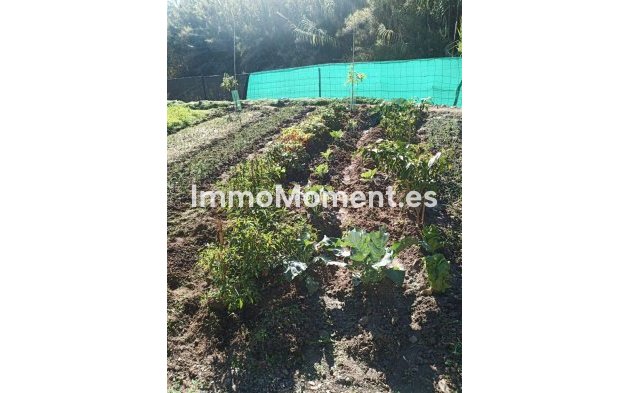 Bestaande woning - Villa - Estepona  - Estepona Centro