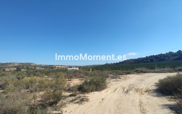 Resale - Land - Orihuela - Torremendo
