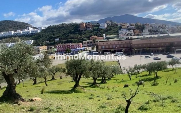 Revente - Terrain - Intérieur                       - Coín