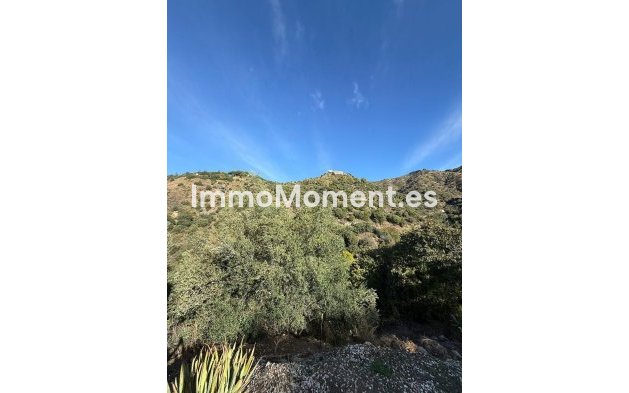 Revente - Maison de campagne - Intérieur                       - Ojén