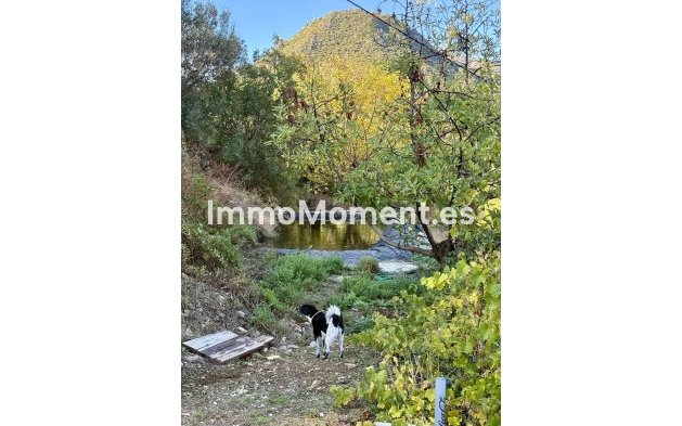 Revente - Maison de campagne - Intérieur                       - Ojén