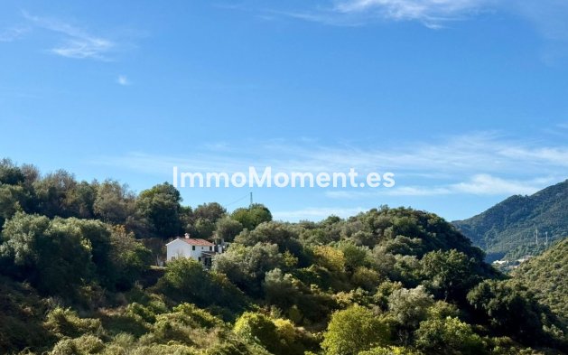 Revente - Maison de campagne - Intérieur                       - Ojén