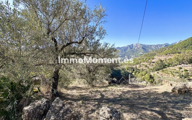 Reventa - Casa de campo - Interior  - Ojén