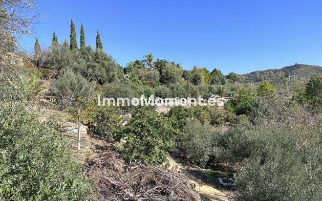 Reventa - Casa de campo - Interior  - Ojén