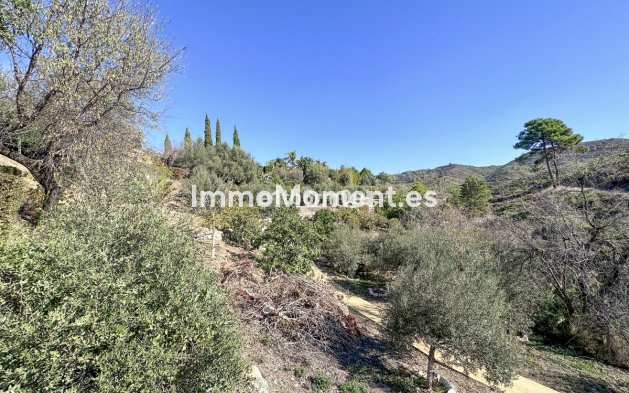 Reventa - Casa de campo - Interior  - Ojén