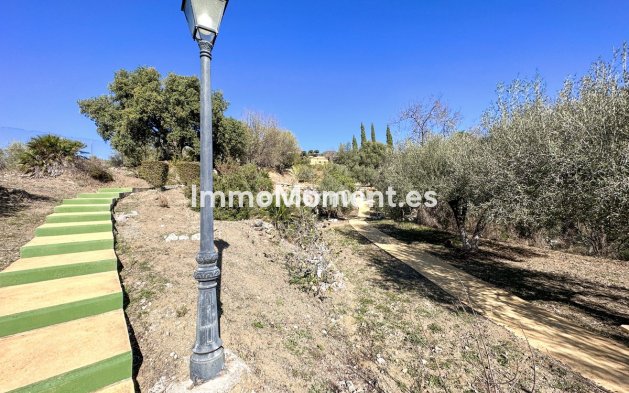 Reventa - Casa de campo - Interior  - Ojén