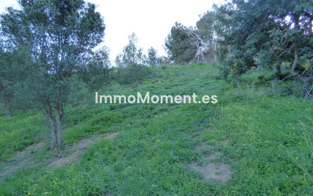 Revente - Terrain - Benalmadena - Benalmadena Pueblo