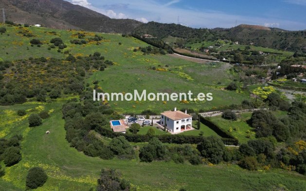 Wiederverkauf - Villa - Estepona  - Estepona Centro