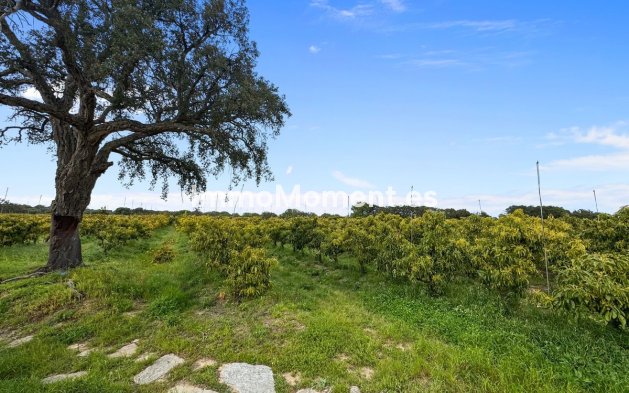 Bestaande woning - Villa - Sotogrande