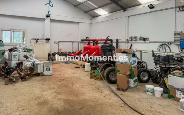 Bestaande woning - Villa - Sotogrande