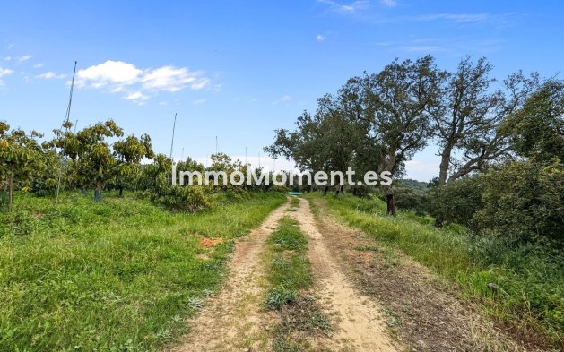 Bestaande woning - Villa - Sotogrande