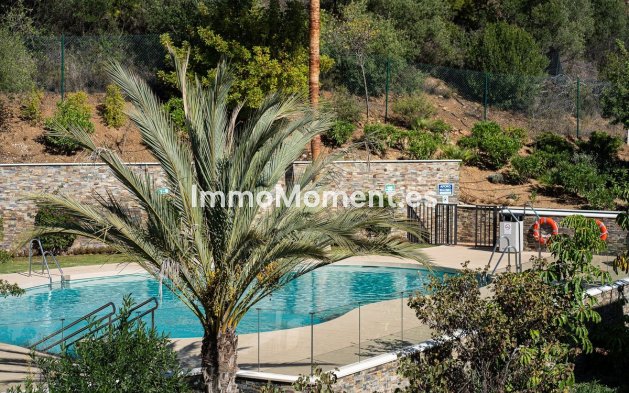 Reventa - Apartamento - Marbella - Marbella Centro