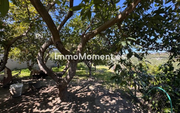 Resale - Villa - Estepona - Estepona Centro