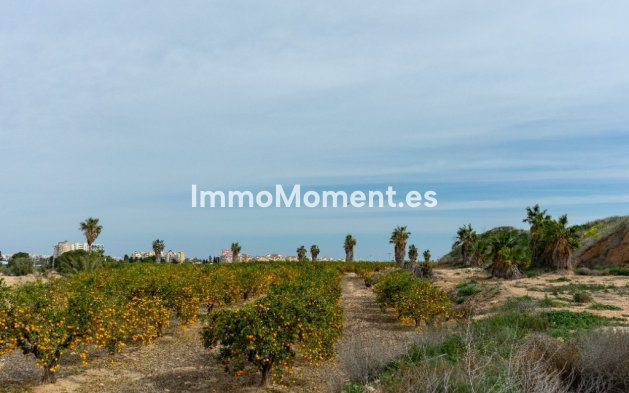 Revente - Villa - Orihuela - Los Altos