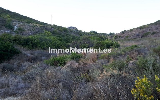 Revente - Maison de campagne - Casares - Casares Centro