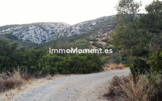 Revente - Maison de campagne - Casares - Casares Centro