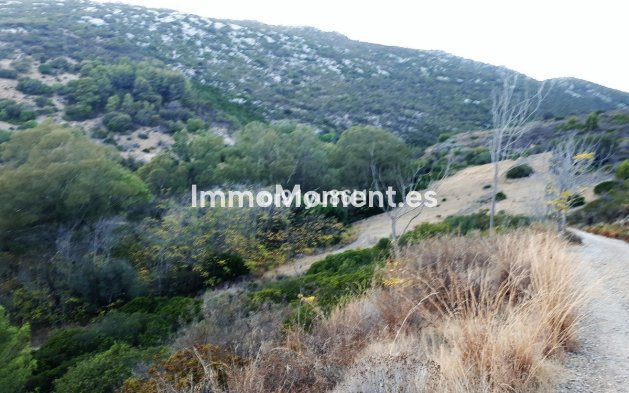 Revente - Maison de campagne - Casares - Casares Centro