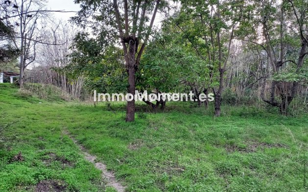 Revente - Maison de campagne - Casares - Casares Centro