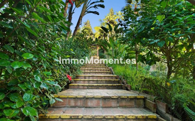 Wiederverkauf - Wohnung - Marbella - Reserva de Marbella