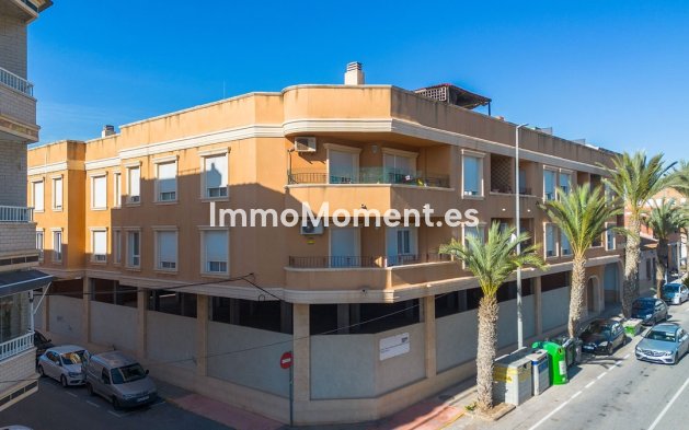 Revente - Appartement - Los Montesinos - Los Montesinos Centro