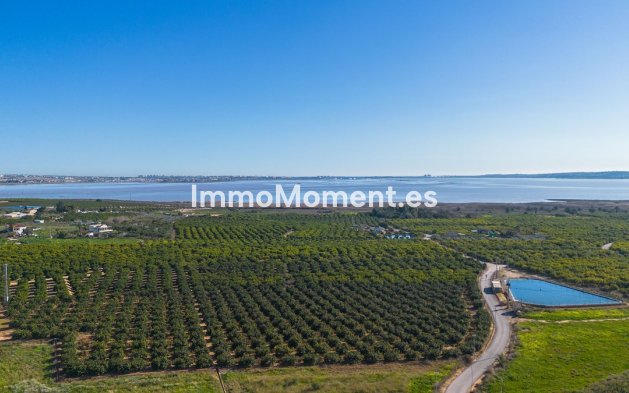 Revente - Appartement - Los Montesinos - Los Montesinos Centro