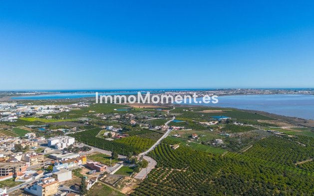 Revente - Appartement - Los Montesinos - Los Montesinos Centro