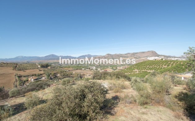 Reventa - Casa de campo - Interior  - Alora