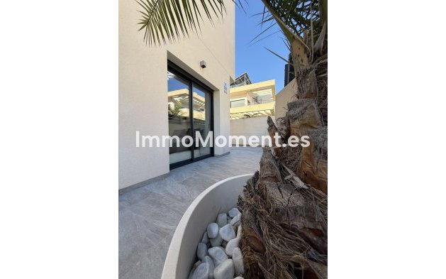 Revente - Villa - Los Montesinos - Los Montesinos Centro