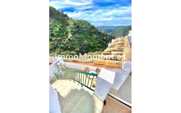 Revente - Maison mitoyenne - Intérieur                       - Istán