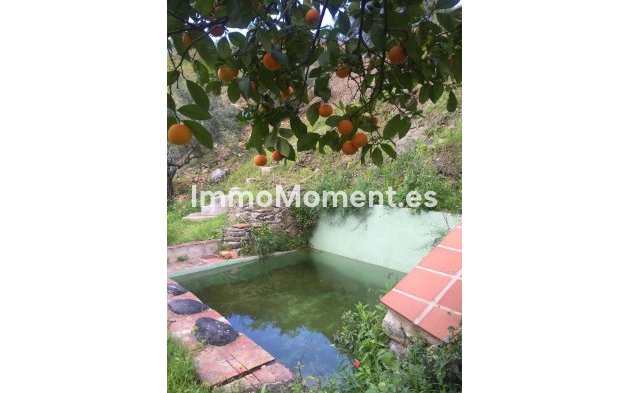 Revente - Maison de campagne - Intérieur                       - Guaro