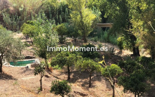 Revente - Maison de campagne - Intérieur                       - Guaro