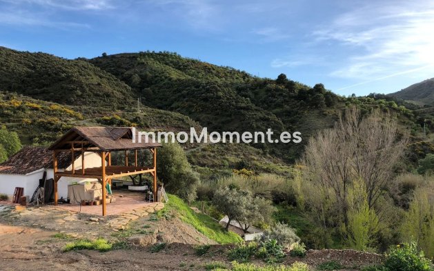 Revente - Maison de campagne - Intérieur                       - Guaro