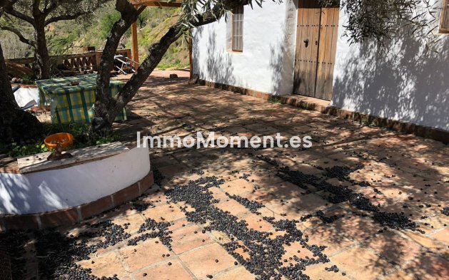 Revente - Maison de campagne - Intérieur                       - Guaro