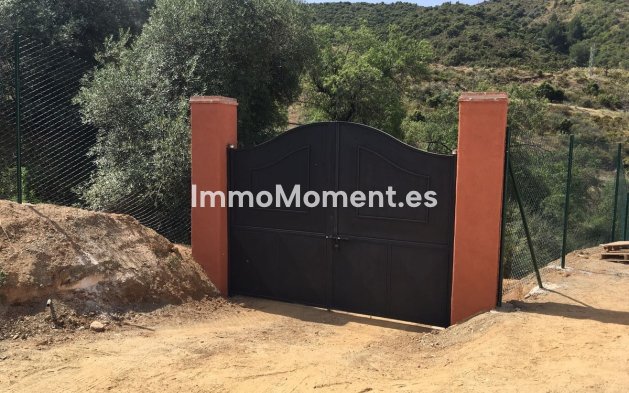 Revente - Maison de campagne - Intérieur                       - Guaro