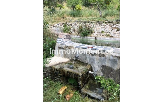 Revente - Maison de campagne - Intérieur                       - Guaro