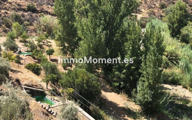 Revente - Maison de campagne - Intérieur                       - Guaro